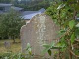 image of grave number 259161